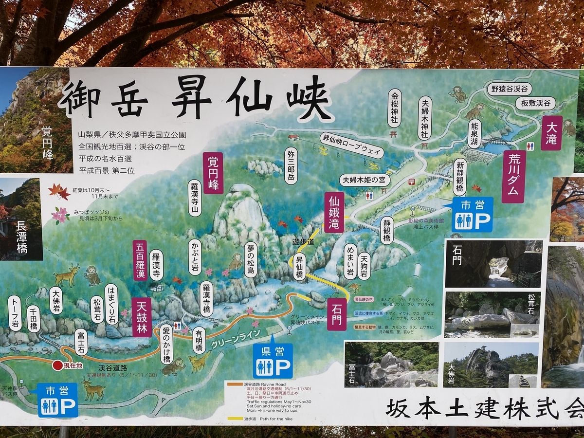 f:id:irregularY:20211203221828j:plain
