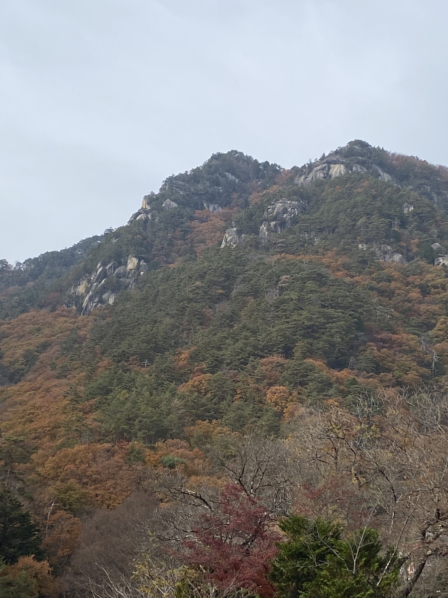 f:id:irregularY:20211205204424j:plain