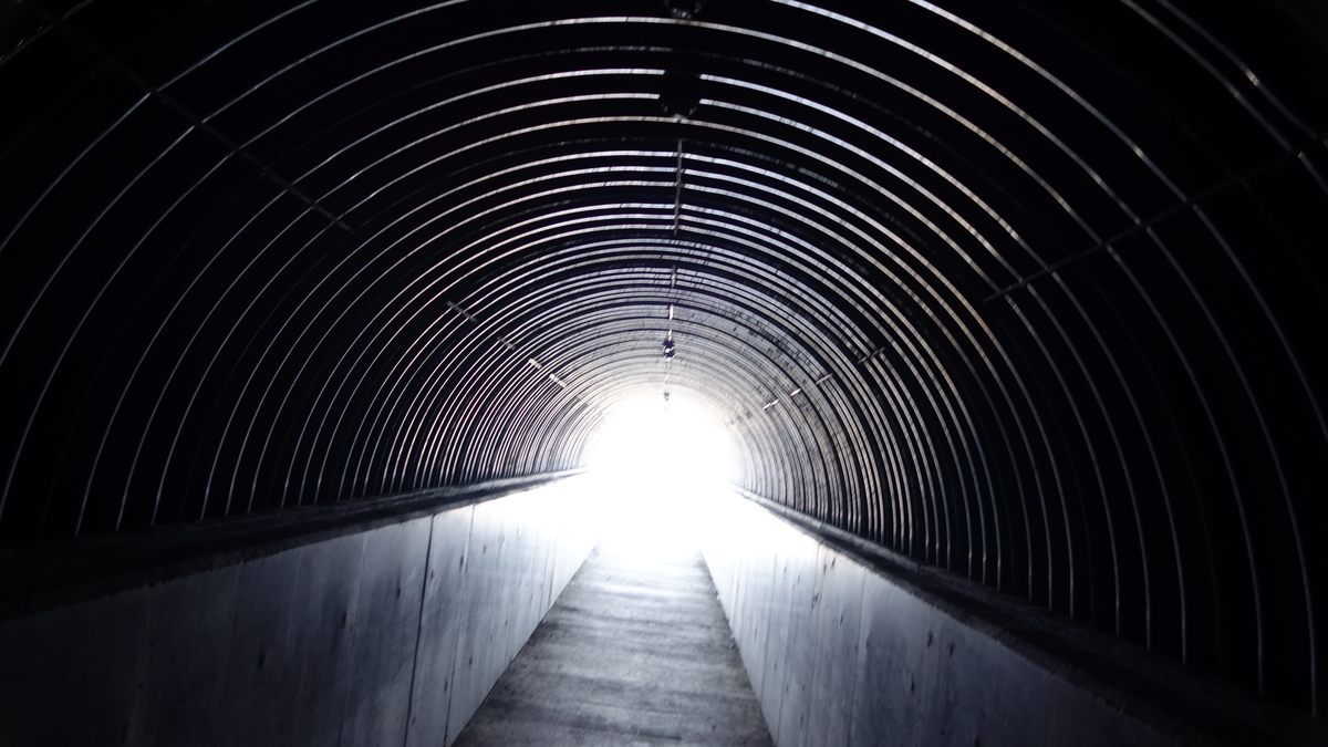 f:id:irukas980:20190507023105j:plain