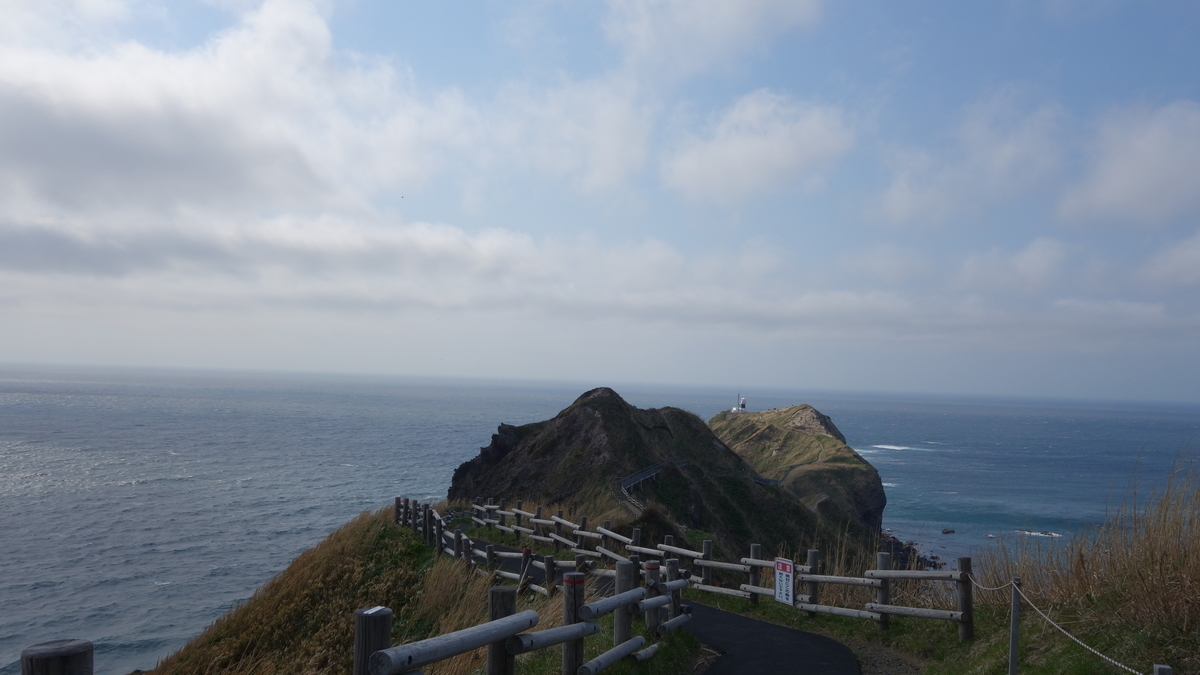 f:id:irukas980:20190507024710j:plain