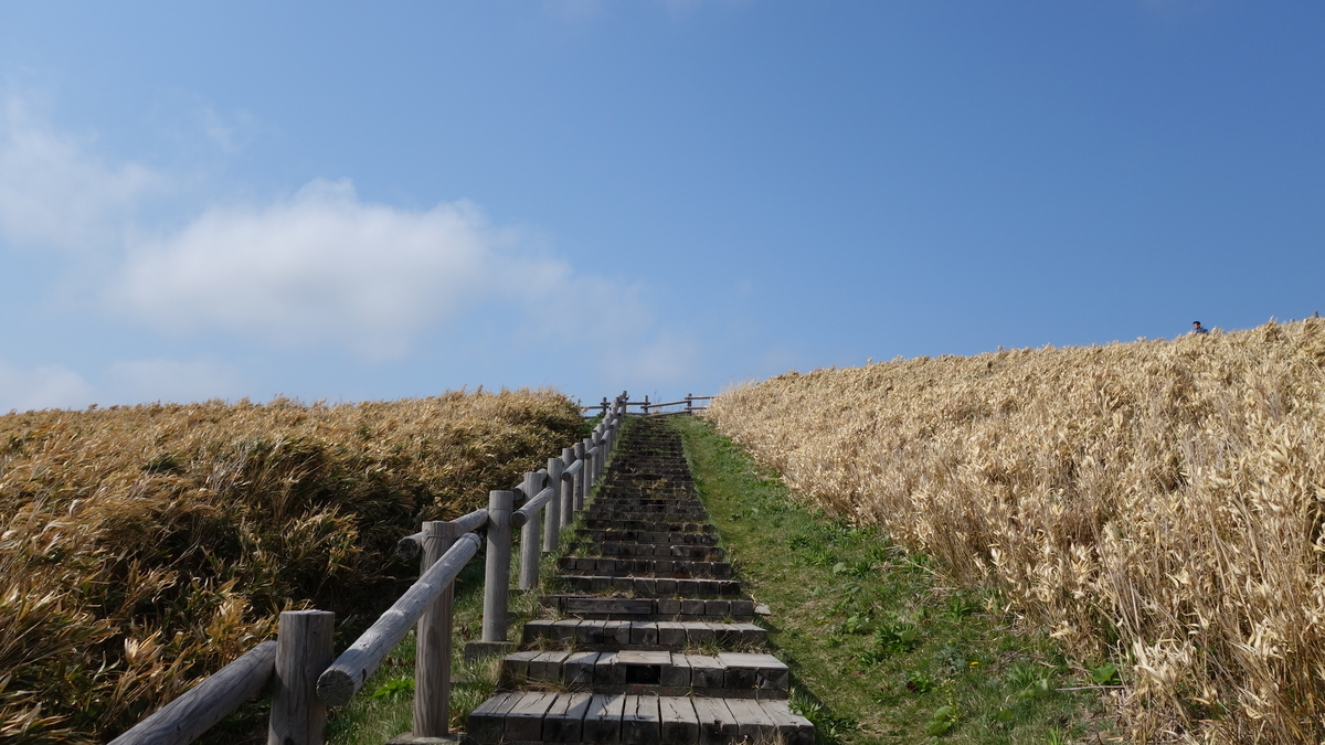 f:id:irukas980:20190507024723j:plain