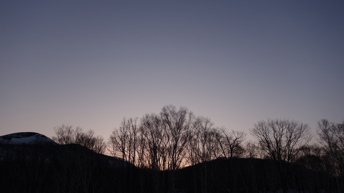 f:id:irukas980:20190507032233j:plain