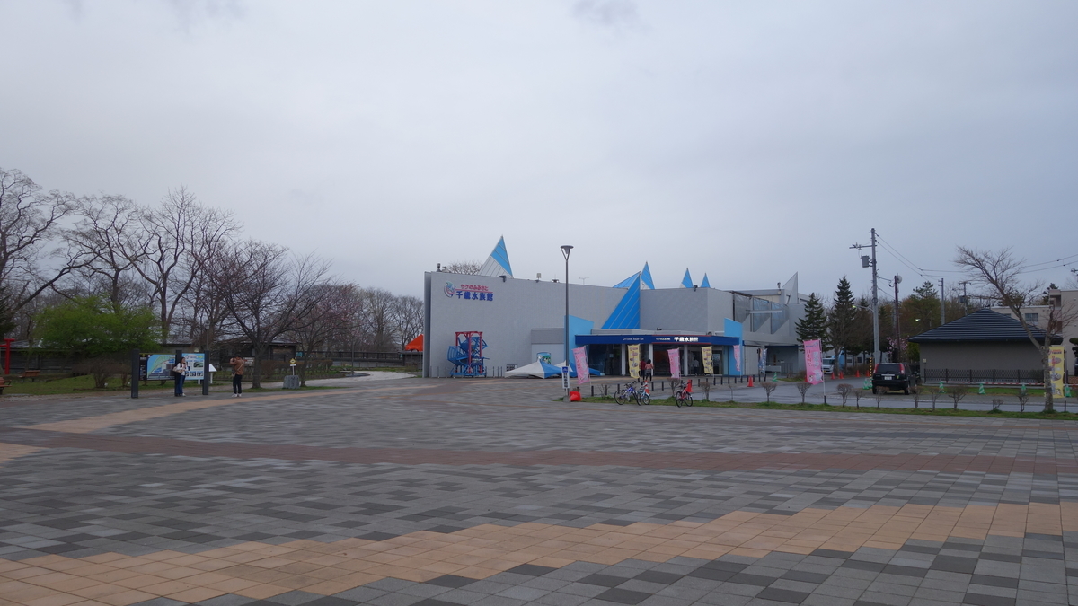 f:id:irukas980:20190513235638j:plain