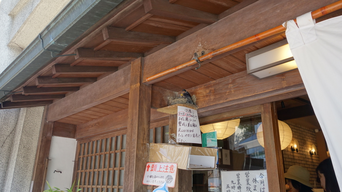 f:id:irukas980:20190527213708j:plain f:id:irukas980:20190527213708j:plain