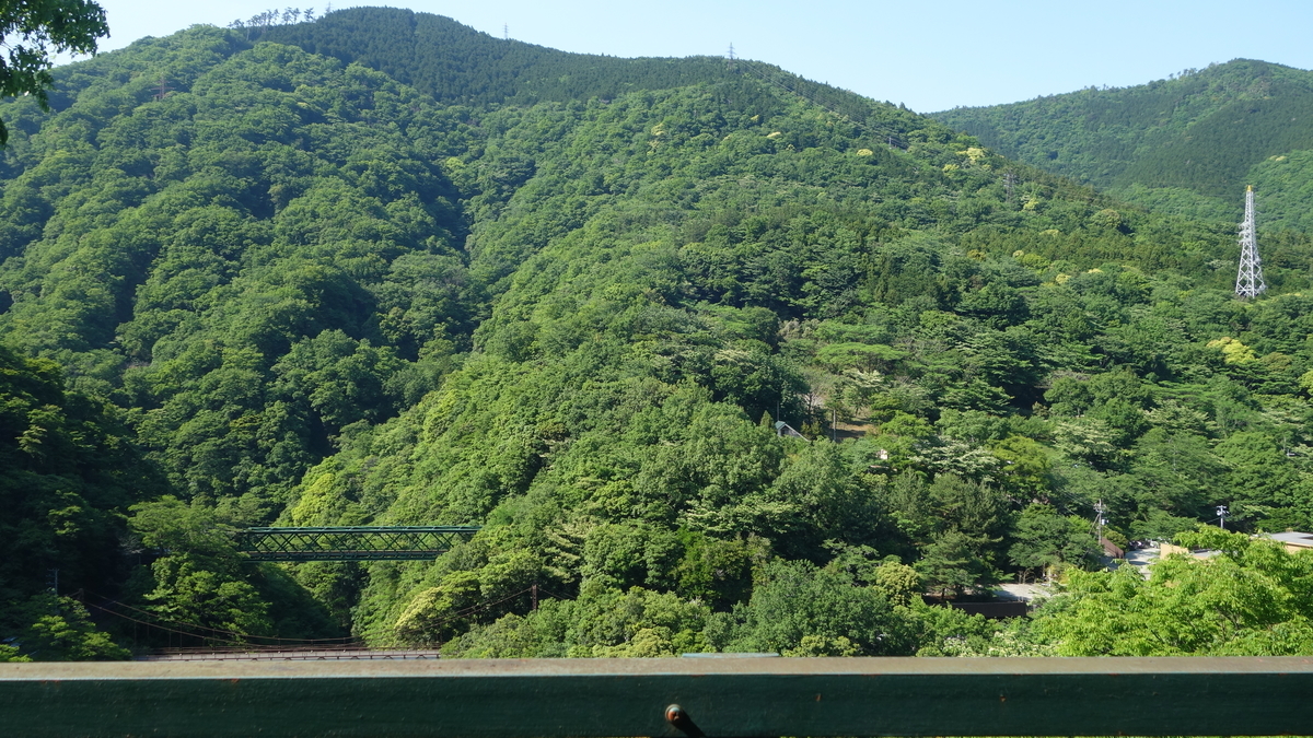 f:id:irukas980:20190527220245j:plain f:id:irukas980:20190527220245j:plain
