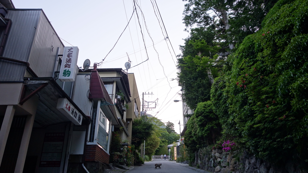 f:id:irukas980:20190529003239j:plain f:id:irukas980:20190529003239j:plain