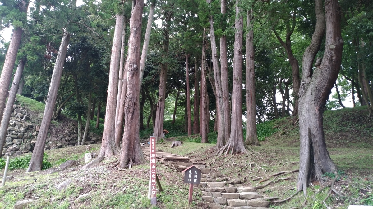 f:id:irukas980:20190713153831j:plain