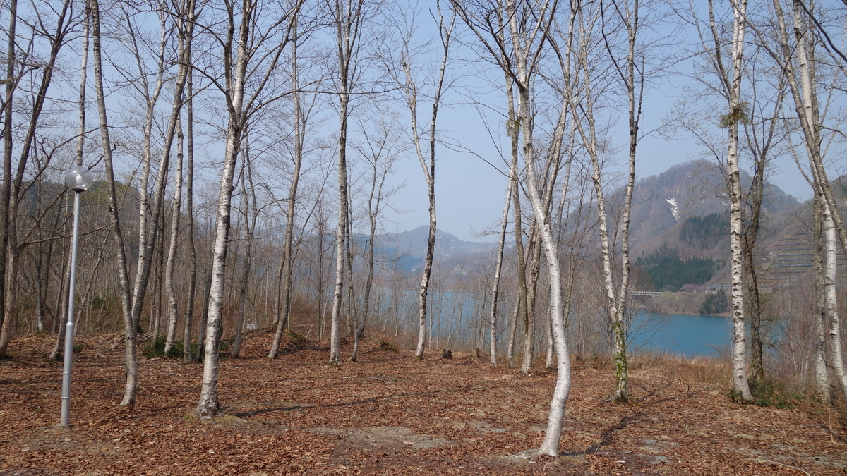 f:id:irukas980:20190713165215j:plain