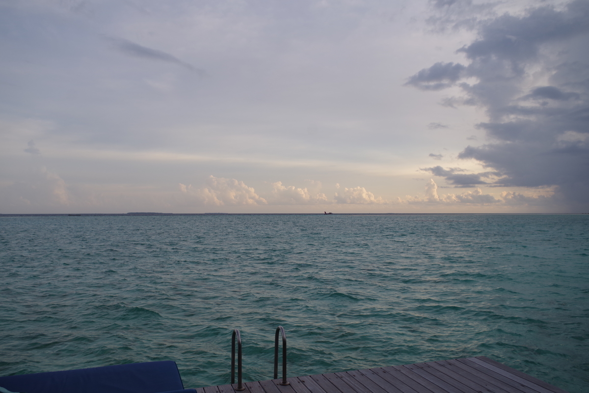 f:id:irukas980:20190808091923j:plain f:id:irukas980:20190808091923j:plain