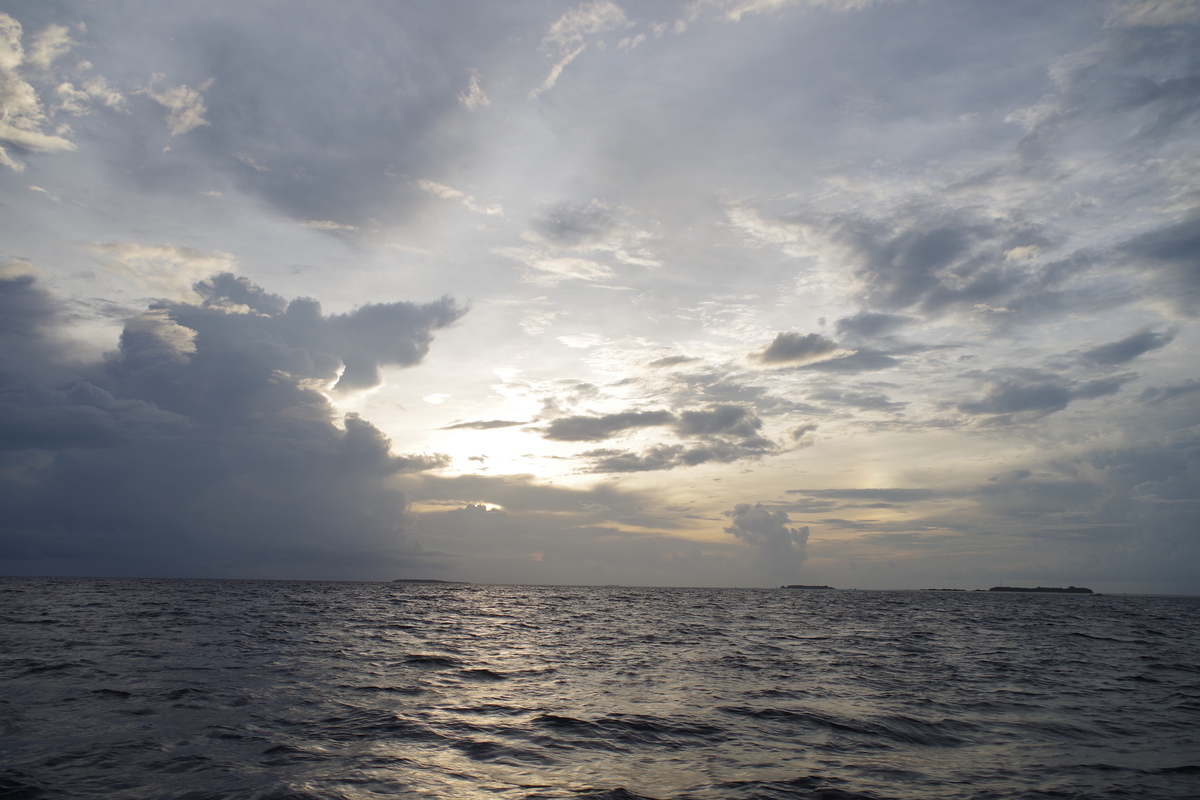 f:id:irukas980:20190809230222j:plain