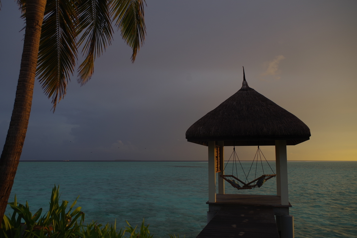 f:id:irukas980:20190810135450j:plain f:id:irukas980:20190810135450j:plain