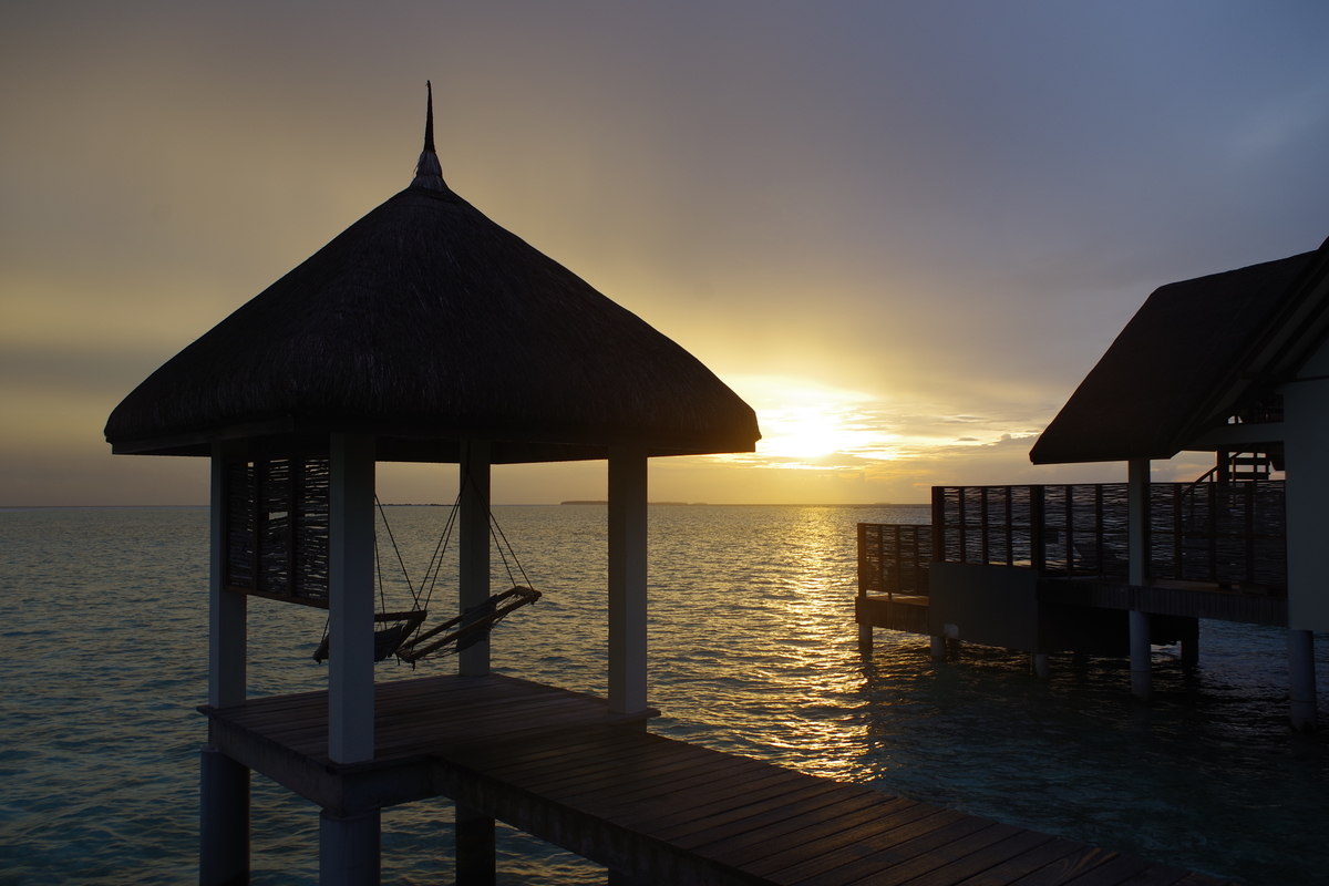 f:id:irukas980:20190810135608j:plain f:id:irukas980:20190810135608j:plain