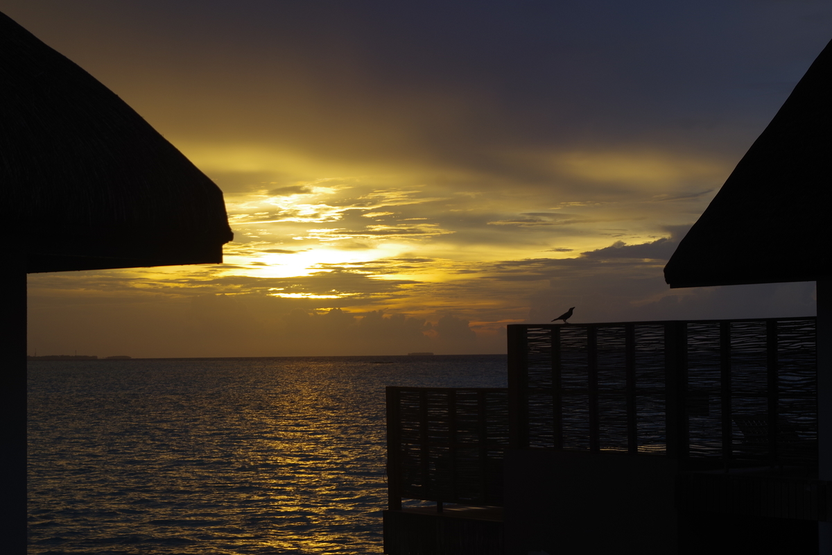 f:id:irukas980:20190810135642j:plain f:id:irukas980:20190810135642j:plain