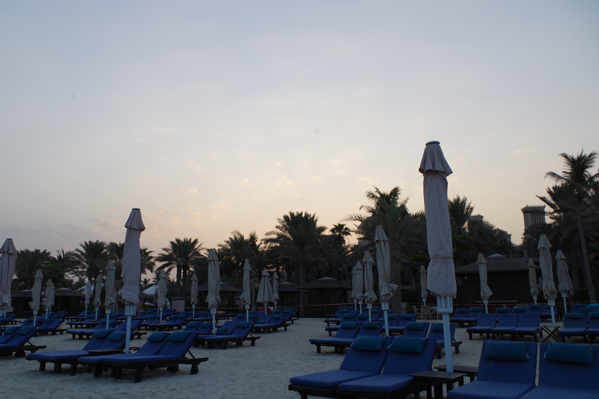 f:id:irukas980:20190814080545j:plain f:id:irukas980:20190814080545j:plain