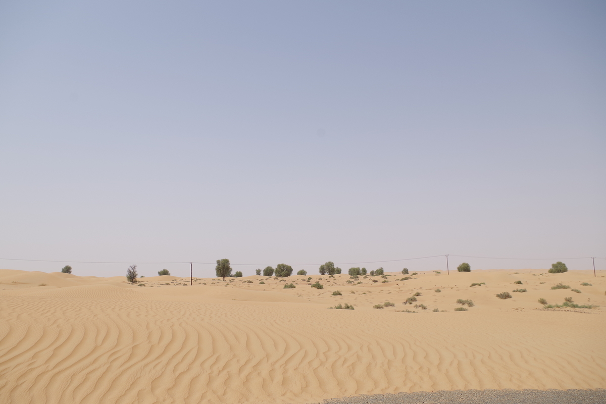 f:id:irukas980:20190815232001j:plain f:id:irukas980:20190815232001j:plain