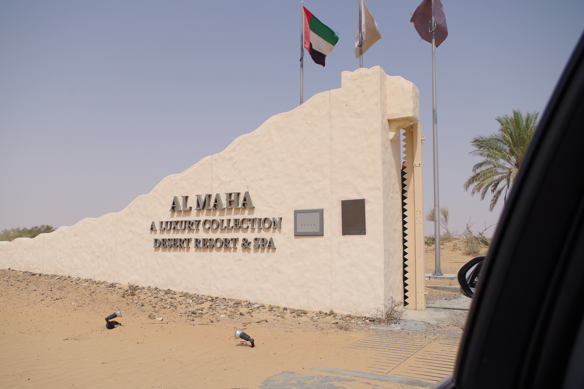 f:id:irukas980:20190815232750j:plain f:id:irukas980:20190815232750j:plain