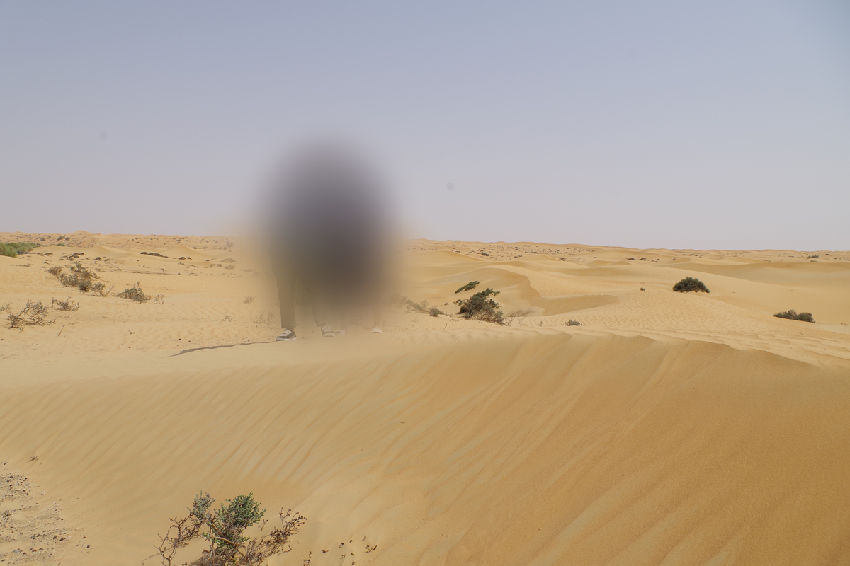 f:id:irukas980:20190815233556j:plain f:id:irukas980:20190815233556j:plain