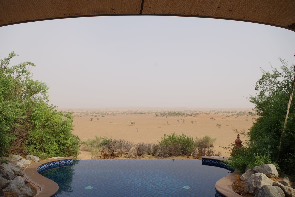 f:id:irukas980:20190816010257j:plain f:id:irukas980:20190816010257j:plain