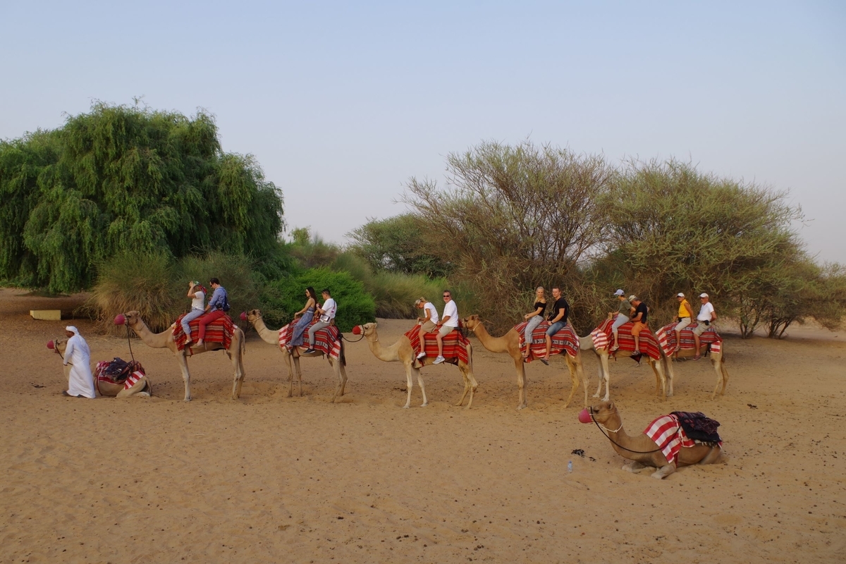 f:id:irukas980:20190816011554j:plain f:id:irukas980:20190816011554j:plain