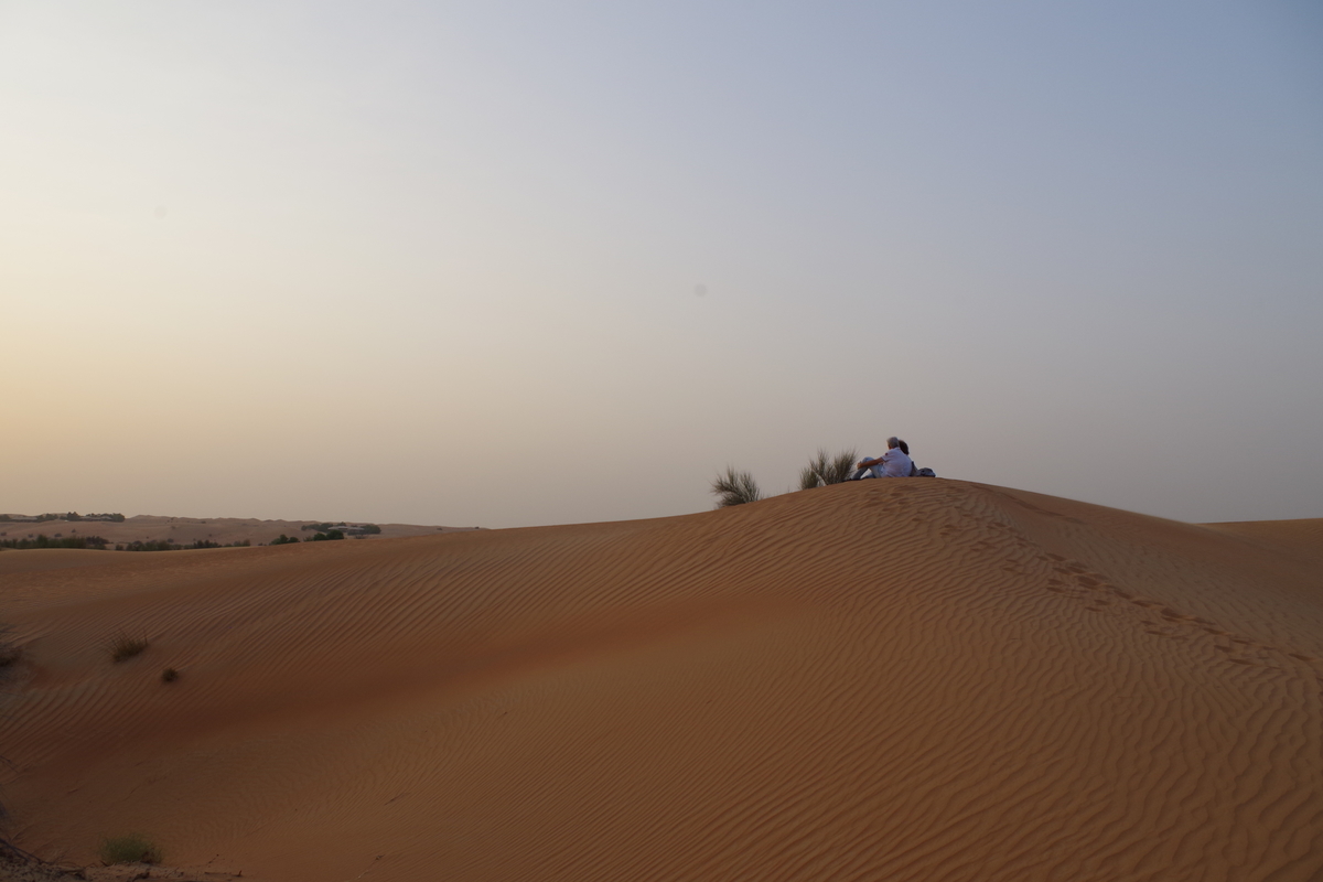 f:id:irukas980:20190816011842j:plain f:id:irukas980:20190816011842j:plain