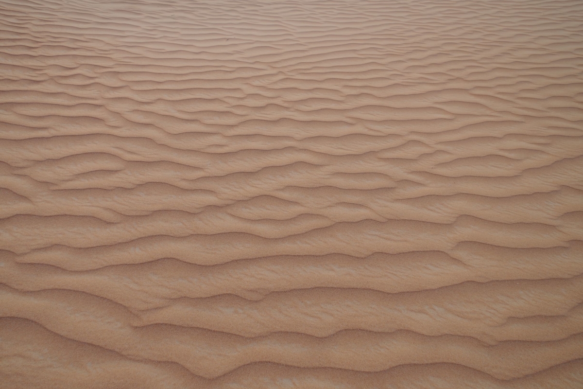 f:id:irukas980:20190816012148j:plain f:id:irukas980:20190816012148j:plain