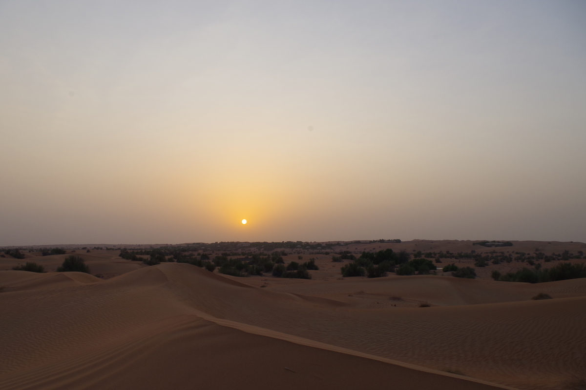 f:id:irukas980:20190816012402j:plain f:id:irukas980:20190816012402j:plain