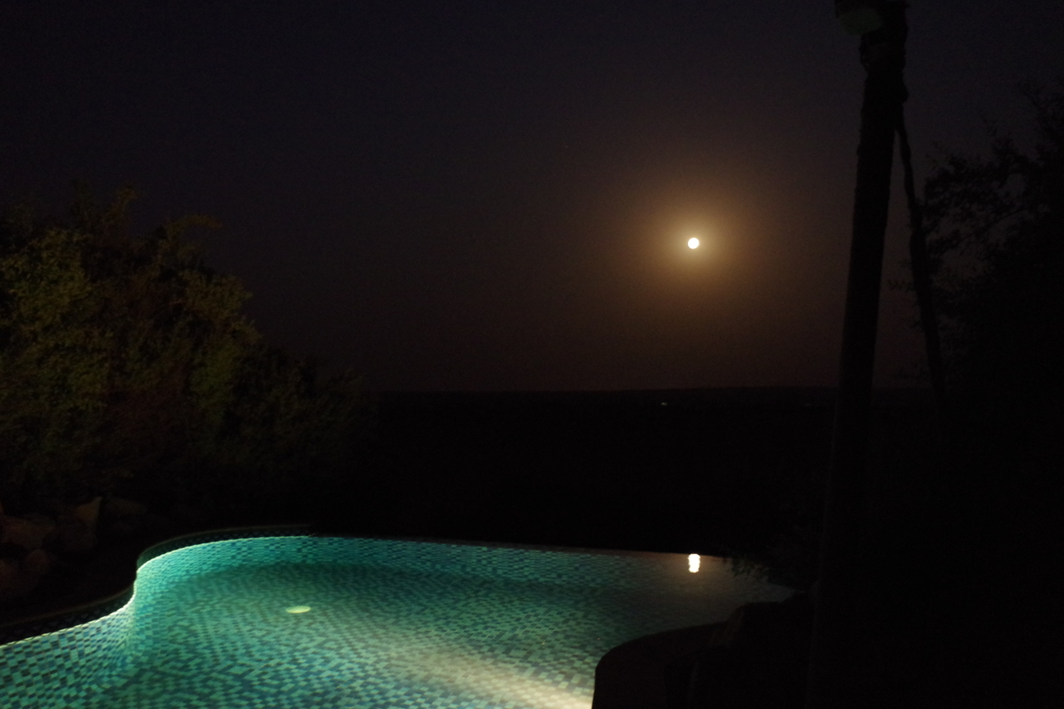 f:id:irukas980:20190816013538j:plain f:id:irukas980:20190816013538j:plain