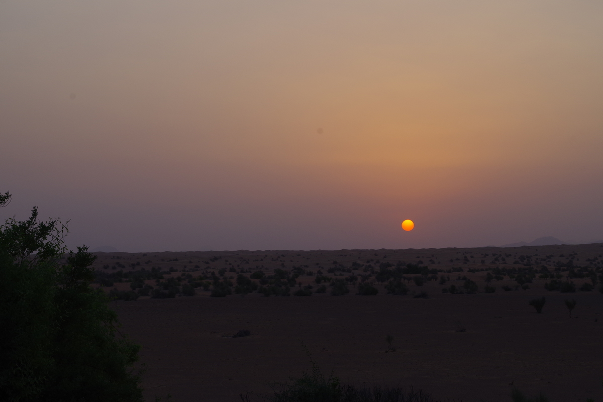 f:id:irukas980:20190821213705j:plain f:id:irukas980:20190821213705j:plain