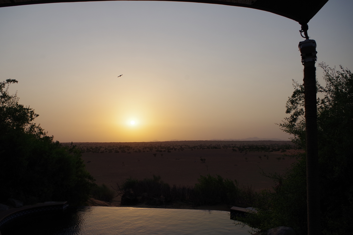 f:id:irukas980:20190821213903j:plain f:id:irukas980:20190821213903j:plain