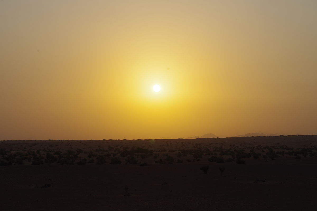 f:id:irukas980:20190821214122j:plain f:id:irukas980:20190821214122j:plain