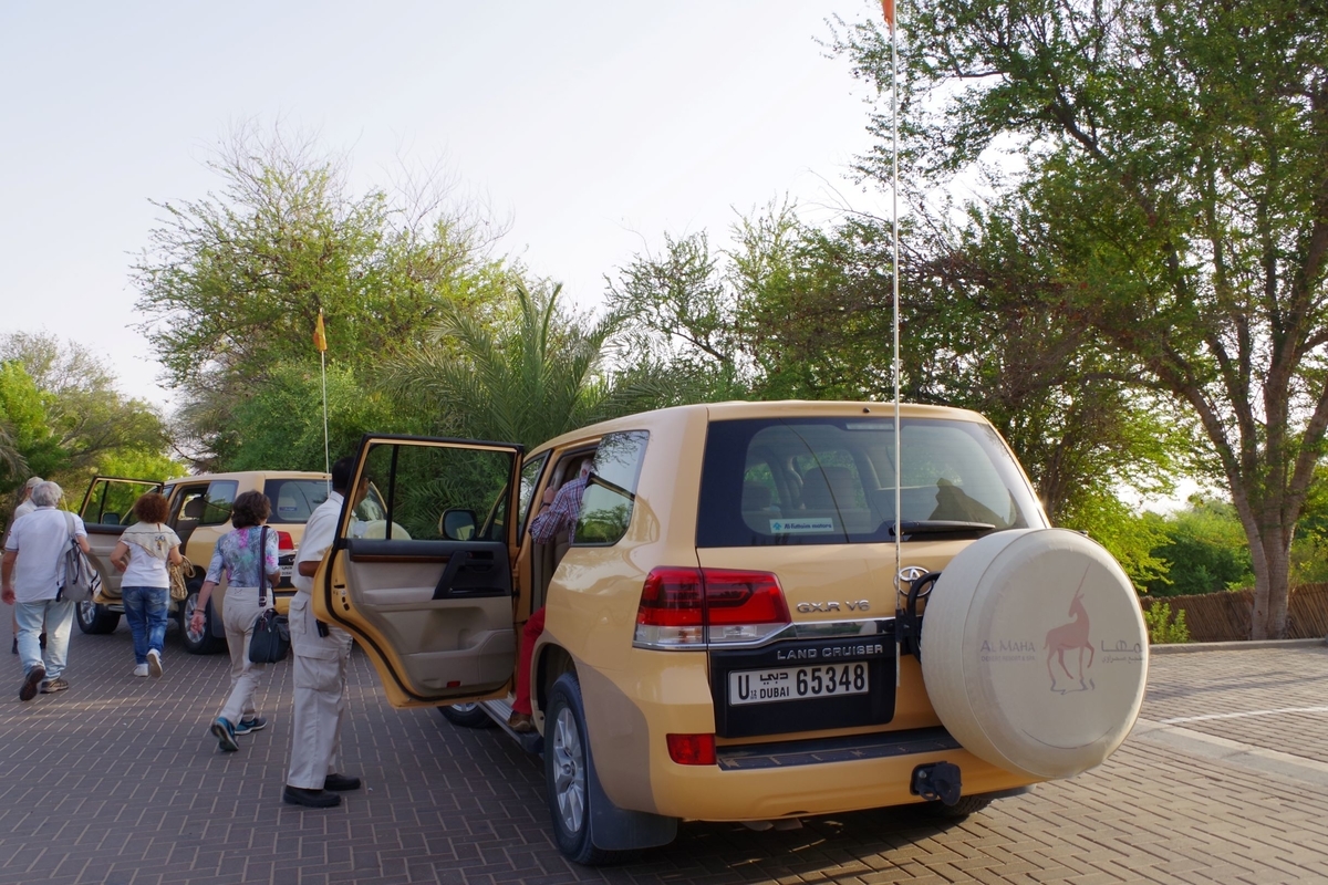 f:id:irukas980:20190821214808j:plain f:id:irukas980:20190821214808j:plain