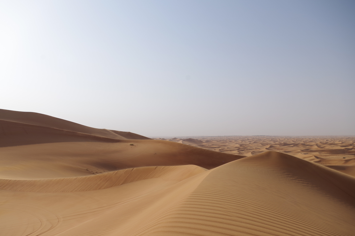 f:id:irukas980:20190821220047j:plain f:id:irukas980:20190821220047j:plain