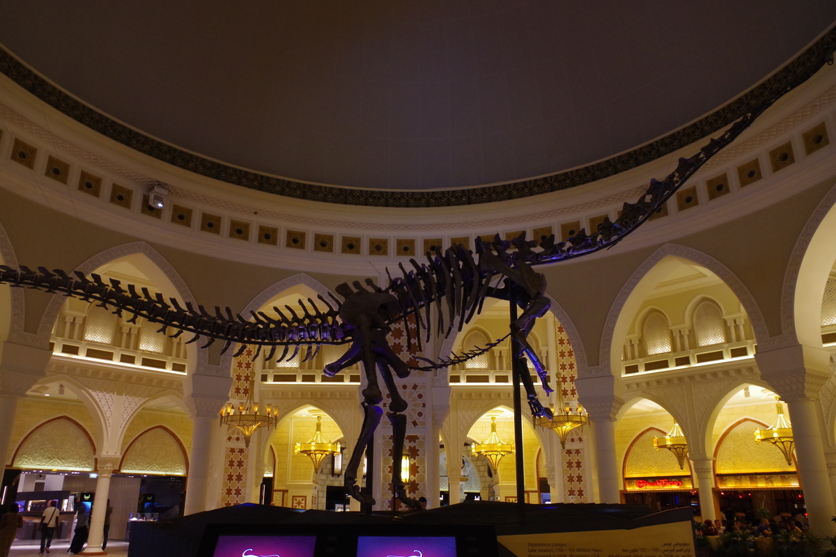 f:id:irukas980:20190821223025j:plain f:id:irukas980:20190821223025j:plain