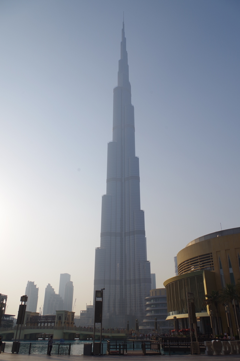 f:id:irukas980:20190821224440j:plain f:id:irukas980:20190821224440j:plain