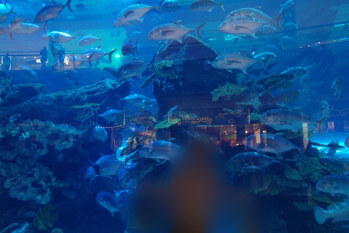 f:id:irukas980:20190822211633j:plain f:id:irukas980:20190822211633j:plain