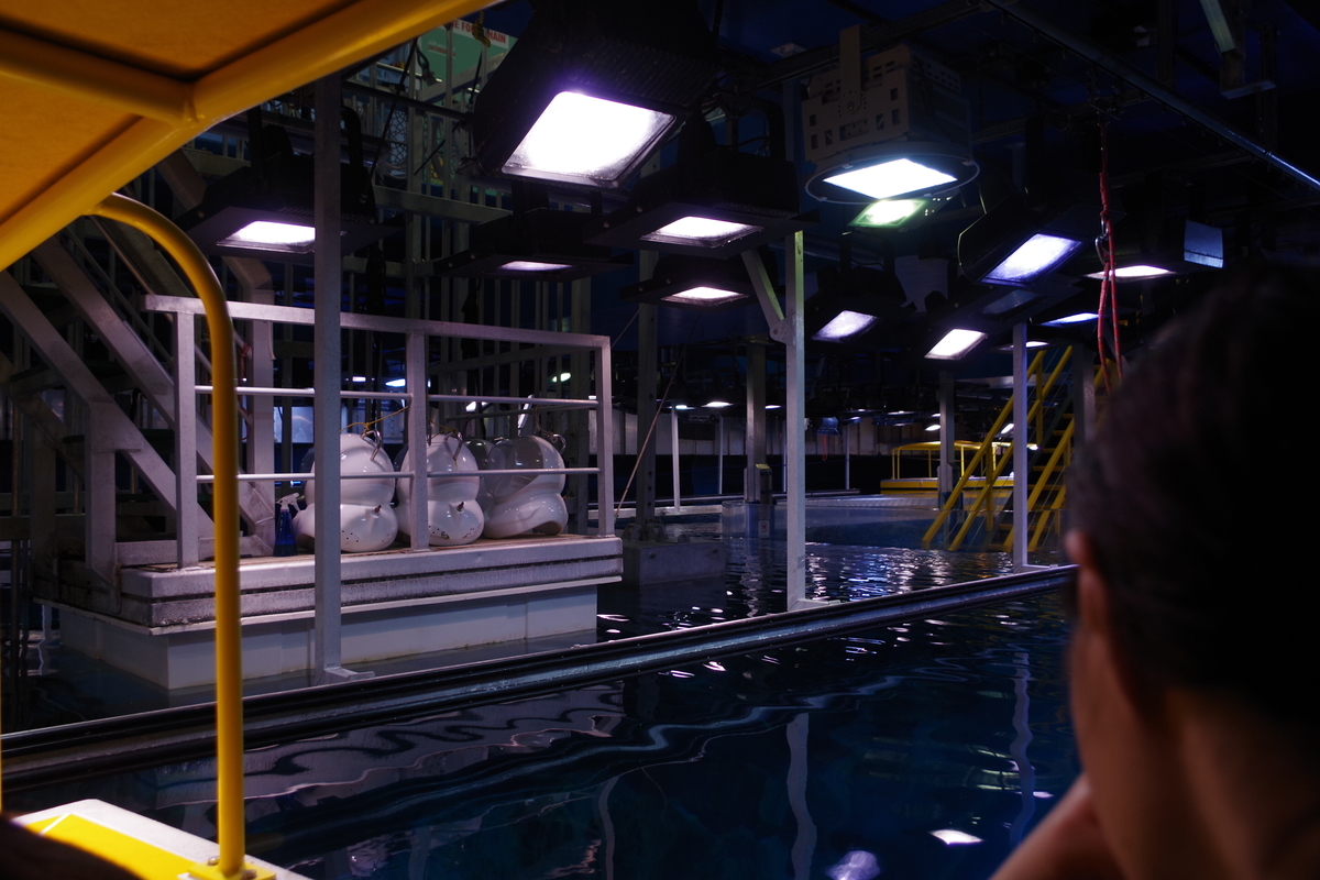 f:id:irukas980:20190822212114j:plain f:id:irukas980:20190822212114j:plain