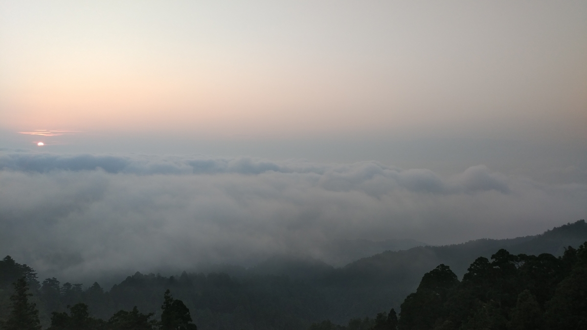 f:id:irukas980:20190825220947j:plain