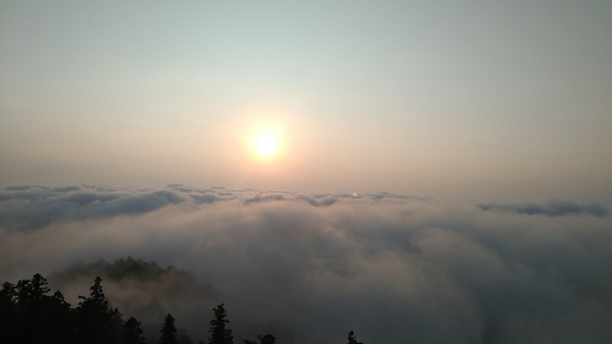 f:id:irukas980:20190825221029j:plain