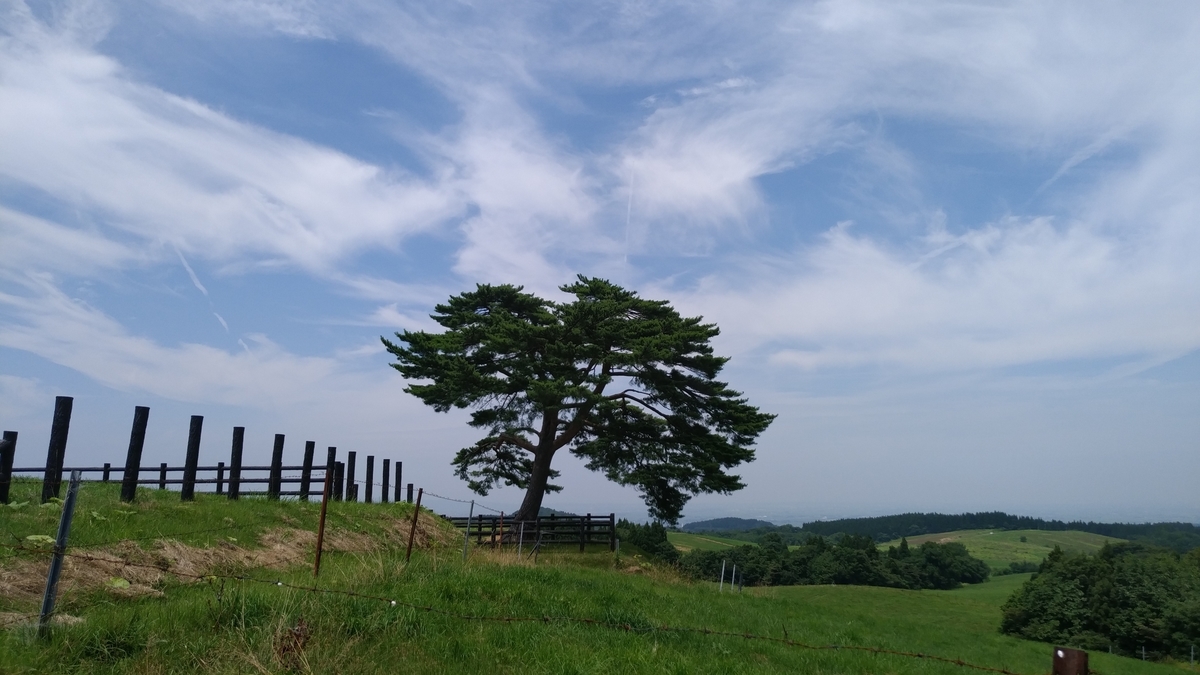 f:id:irukas980:20190828231015j:plain f:id:irukas980:20190828231015j:plain