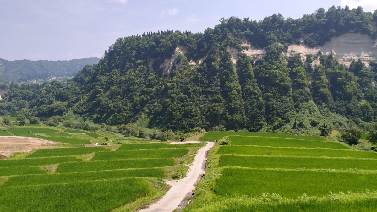 f:id:irukas980:20190831223034j:plain f:id:irukas980:20190831223034j:plain