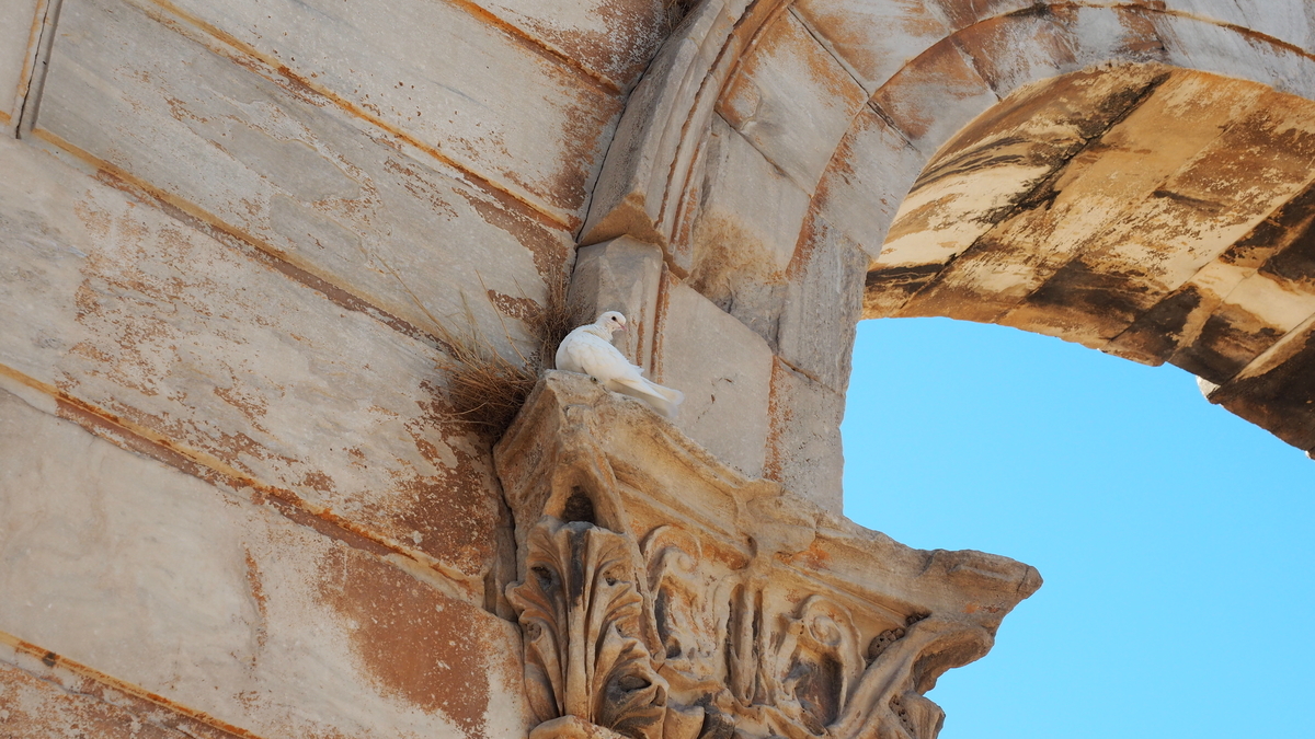 f:id:irukas980:20191005174816j:plain f:id:irukas980:20191005174816j:plain