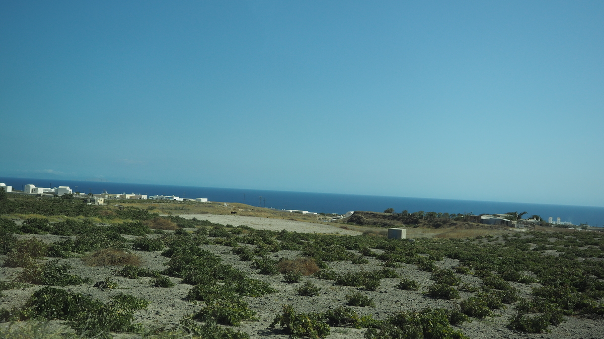 f:id:irukas980:20191027010850j:plain