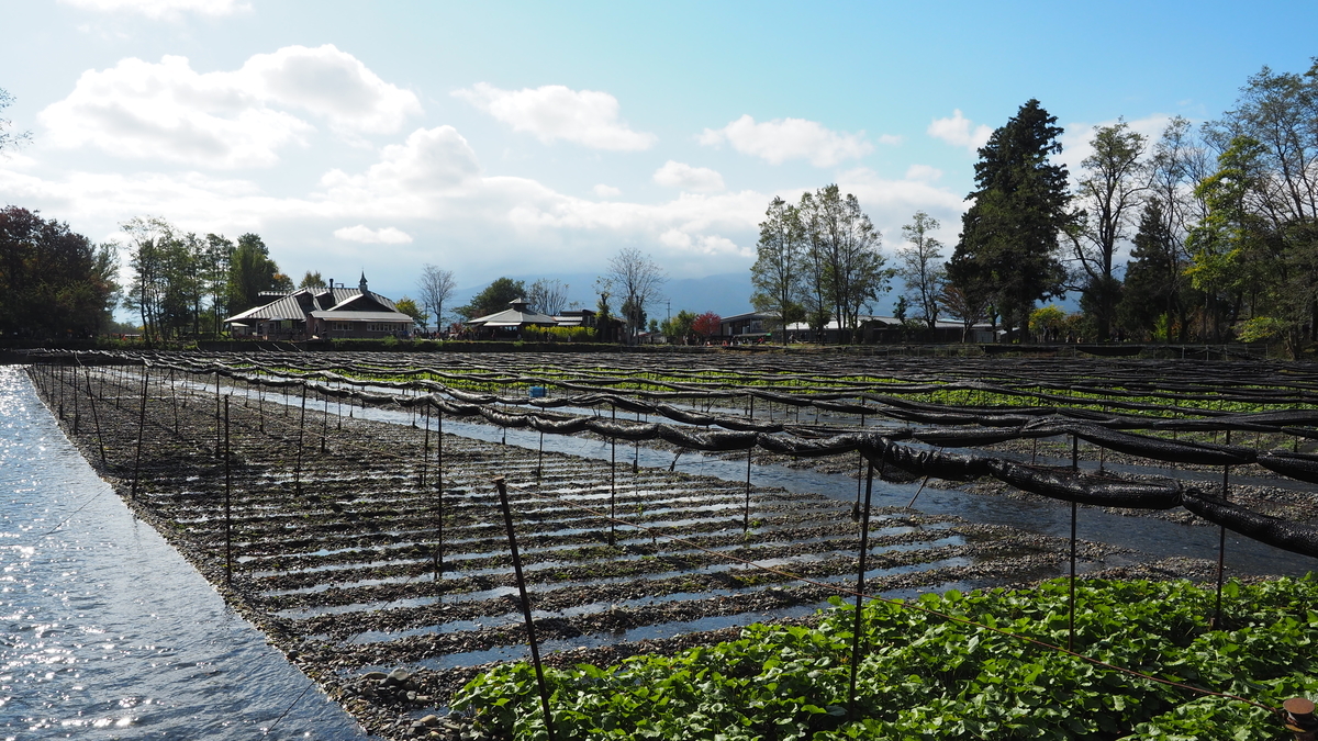 f:id:irukas980:20191207201214j:plain f:id:irukas980:20191207201214j:plain