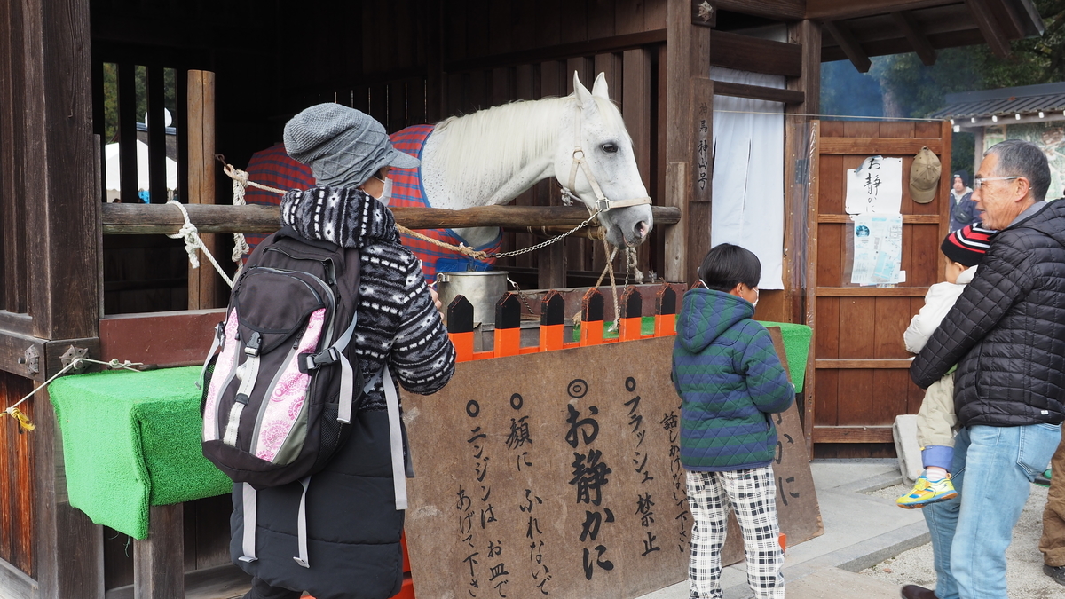 f:id:irukas980:20200118141128j:plain