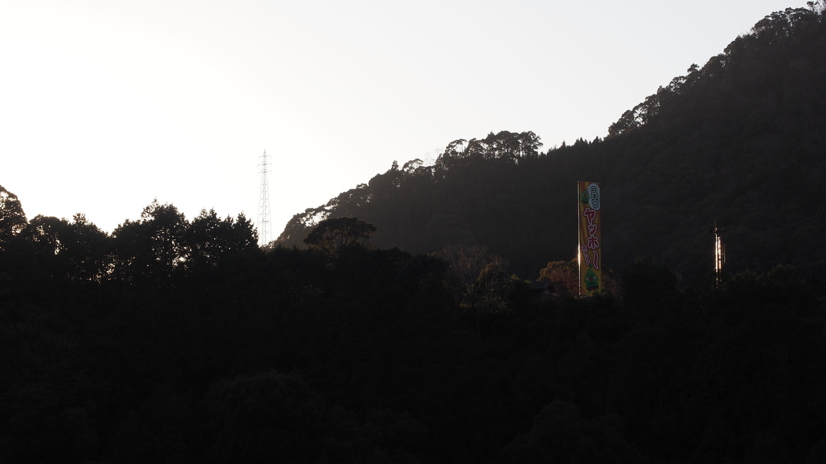 f:id:irukas980:20200118161946j:plain