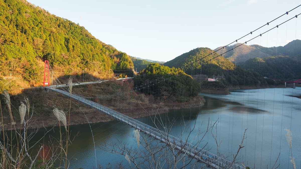 f:id:irukas980:20200118162455j:plain