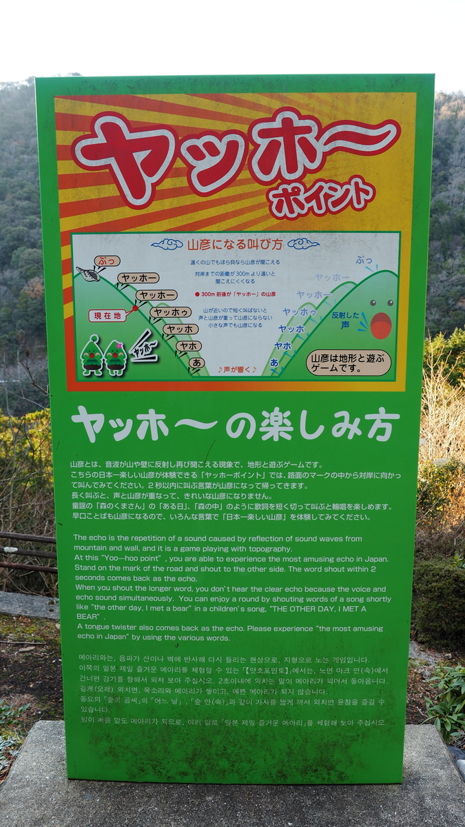 f:id:irukas980:20200118163106j:plain