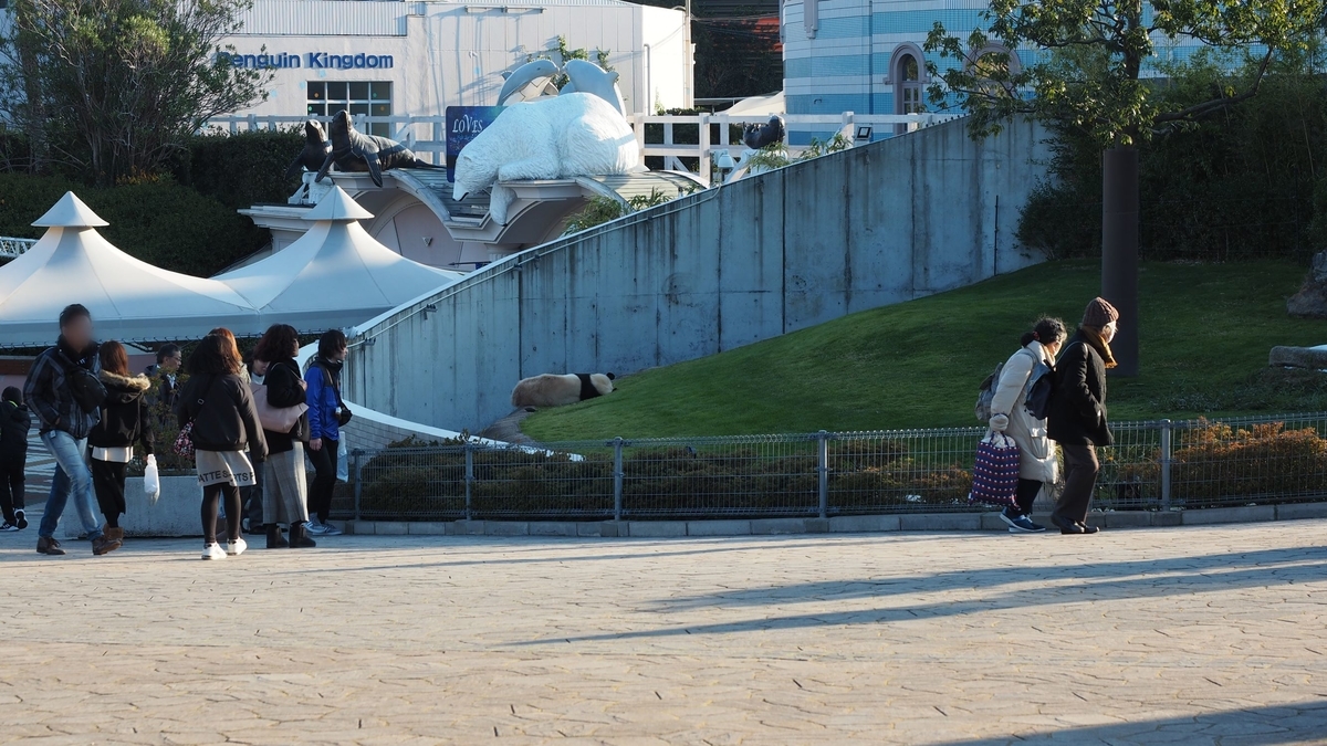 f:id:irukas980:20200122003451j:plain f:id:irukas980:20200122003451j:plain