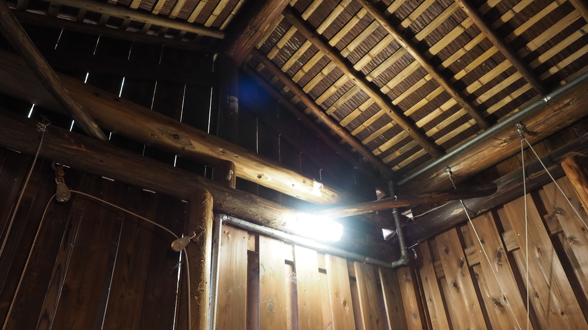 f:id:irukas980:20200126084524j:plain f:id:irukas980:20200126084524j:plain