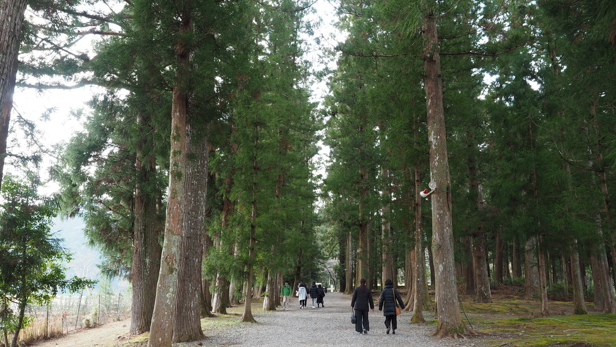 f:id:irukas980:20200126092008j:plain f:id:irukas980:20200126092008j:plain